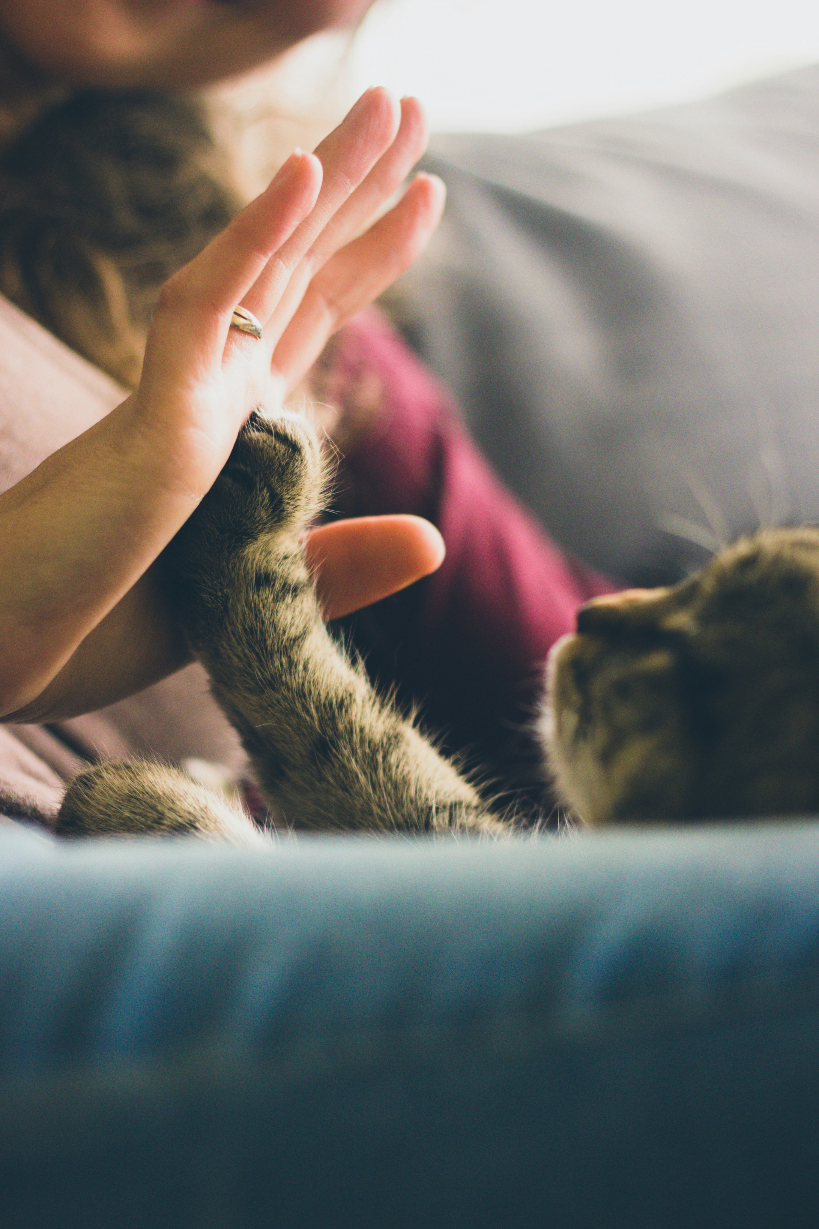 Foto von <a href="https://unsplash.com/de/@taylor_smith?utm_source=unsplash&utm_medium=referral&utm_content=creditCopyText">Taylor Smith</a> auf <a href="https://unsplash.com/de/fotos/person-mit-goldring-in-dunklem-raum-XB_yndXE4ks?utm_source=unsplash&utm_medium=referral&utm_content=creditCopyText">Unsplash</a>      